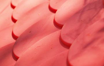 Sampford Chapple plastic roof costs