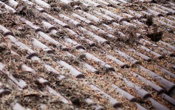 Sampford Chapple roof cleaning companies